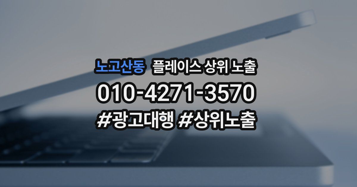 노고산동 플레이스 상위 노출