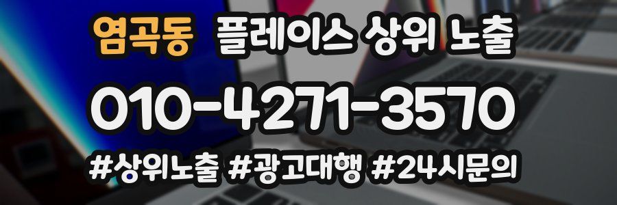 염곡동 플레이스 상위 노출