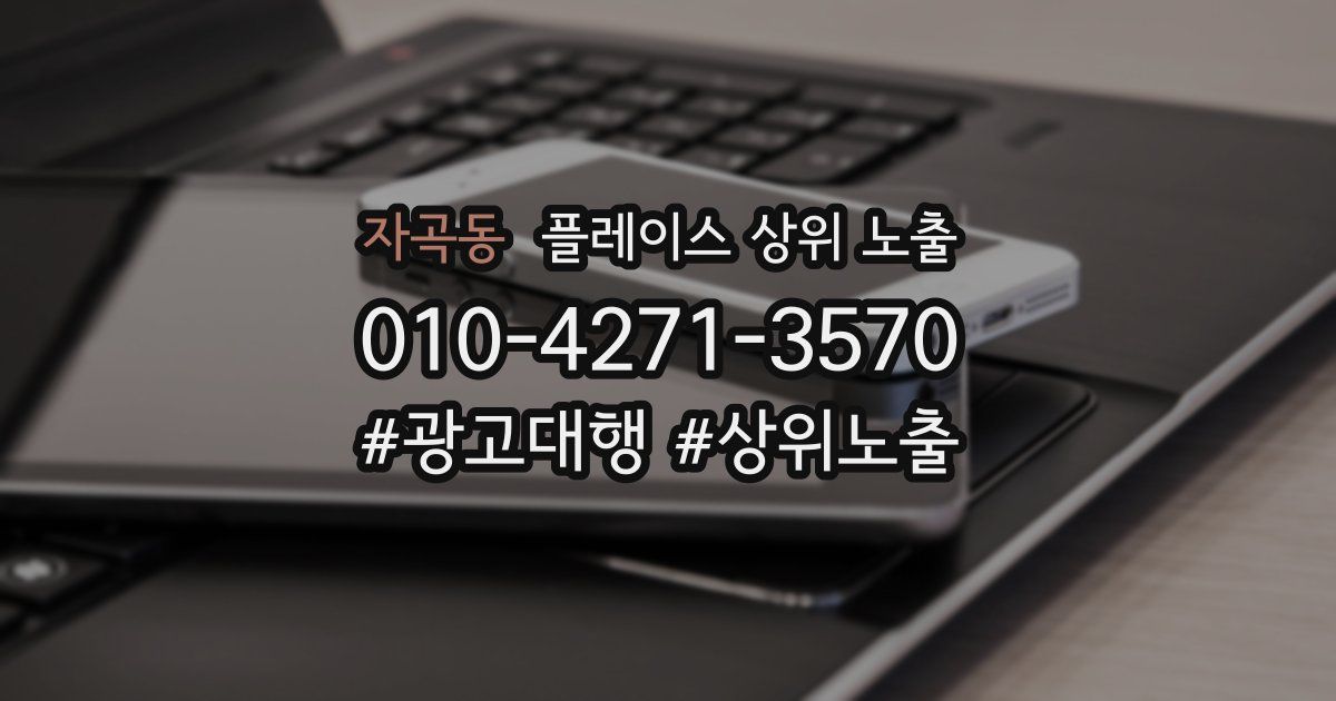 자곡동 플레이스 상위 노출