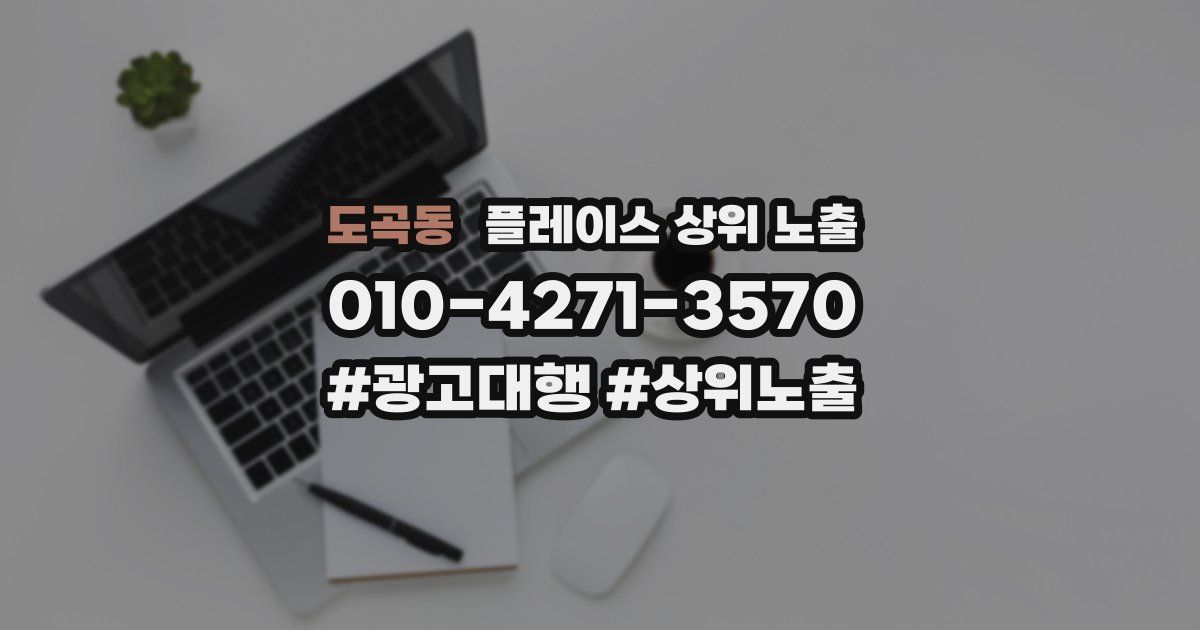 도곡동 플레이스 상위 노출
