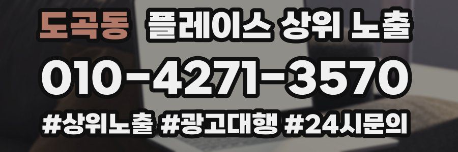 도곡동 플레이스 상위 노출