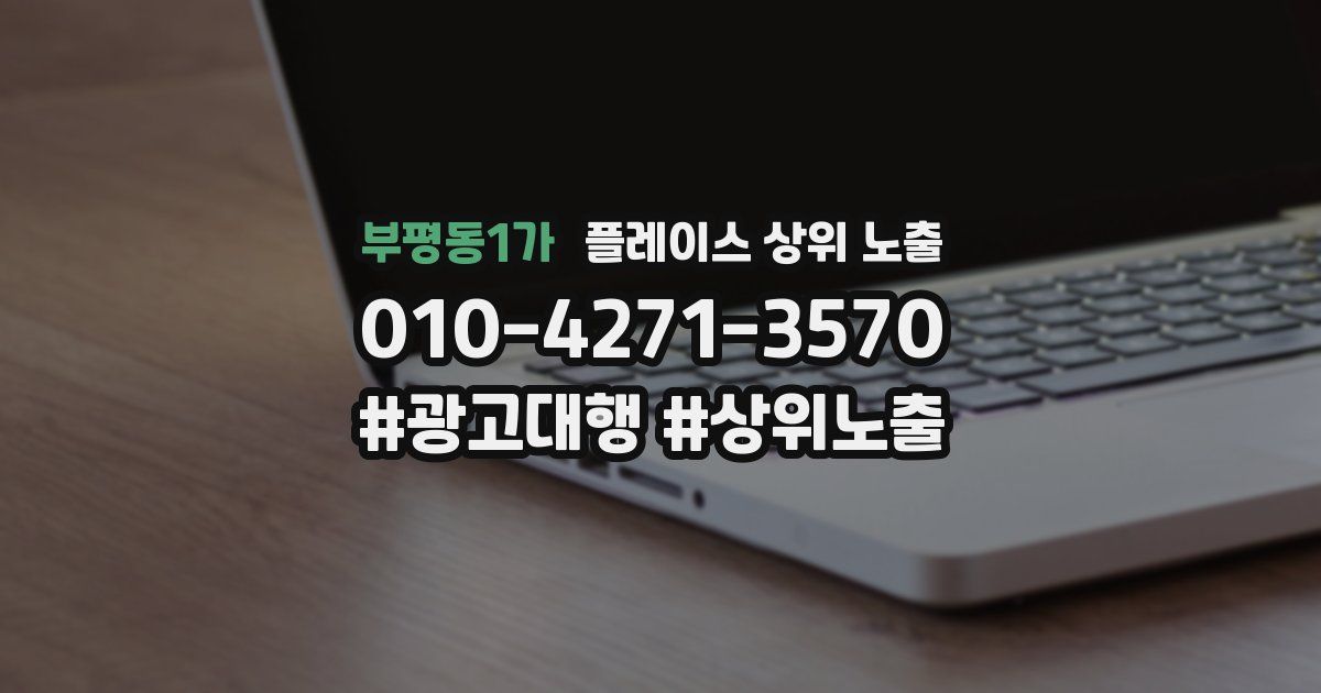 부평동1가 플레이스 상위 노출