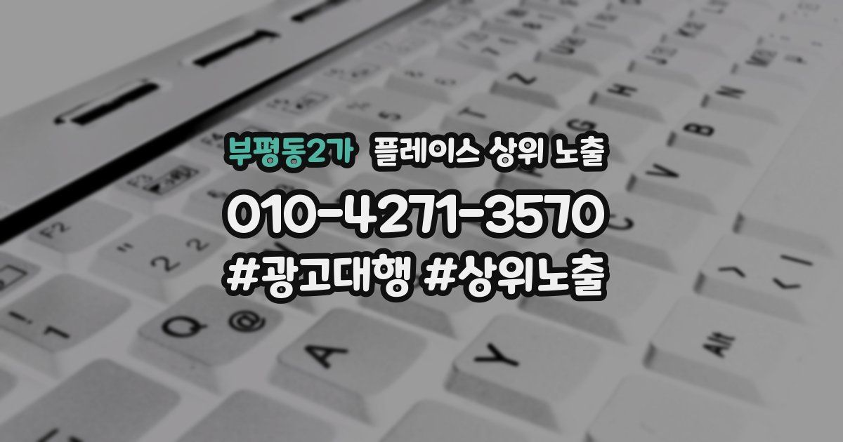 부평동2가 플레이스 상위 노출