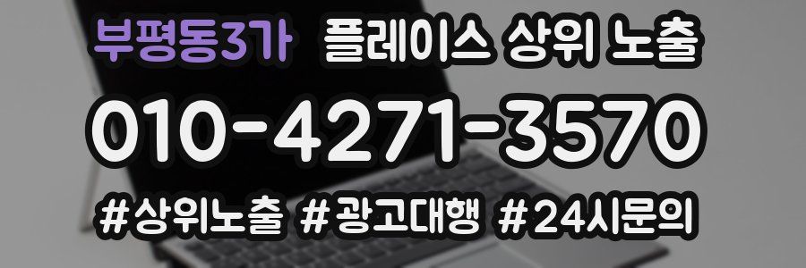 부평동3가 플레이스 상위 노출