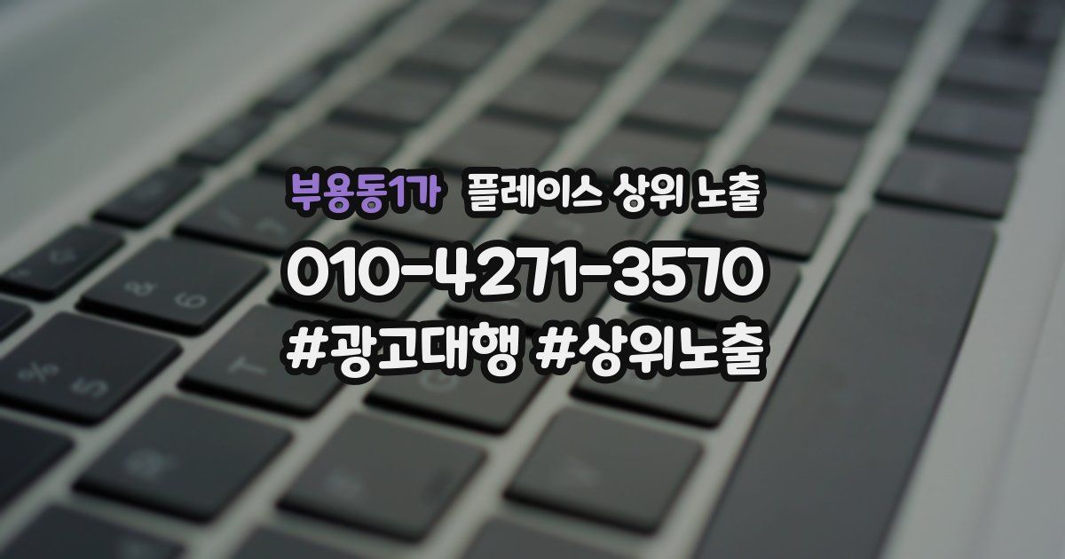 부용동1가 플레이스 상위 노출