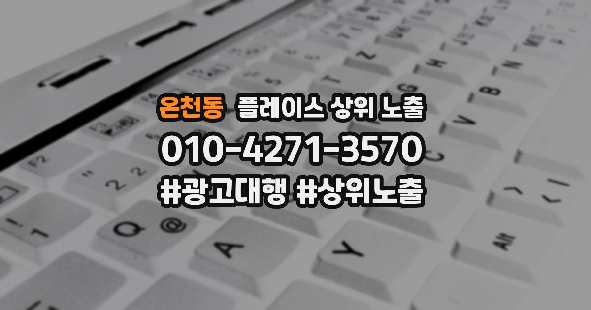 온천동 플레이스 상위 노출