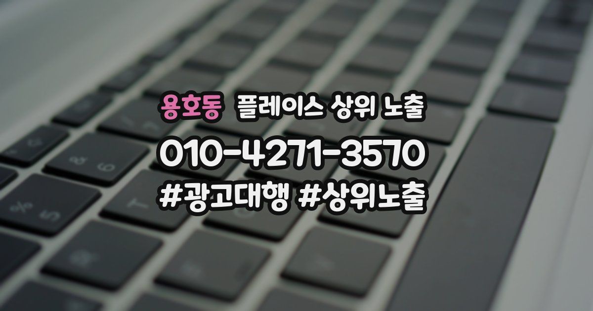 용호동 플레이스 상위 노출