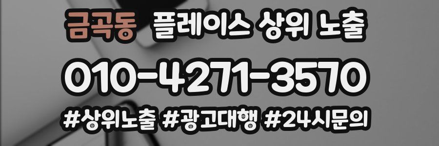 금곡동 플레이스 상위 노출