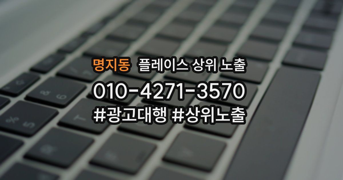 명지동 플레이스 상위 노출