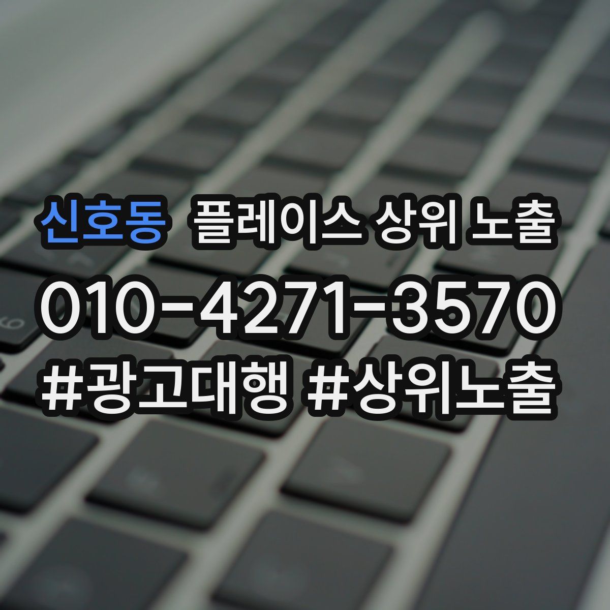 신호동 플레이스 상위 노출