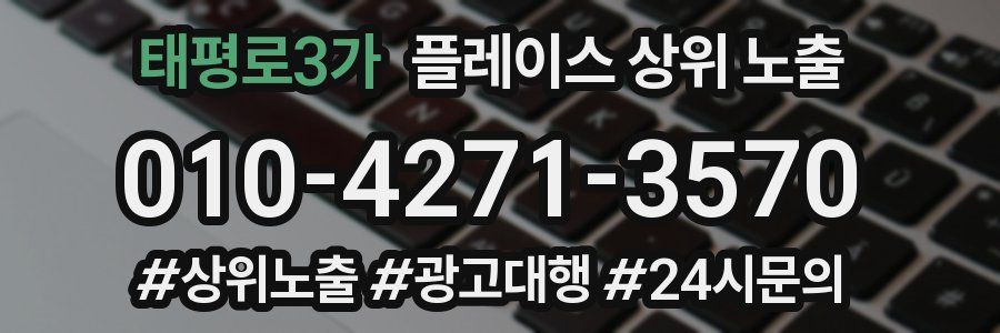 태평로3가 플레이스 상위 노출