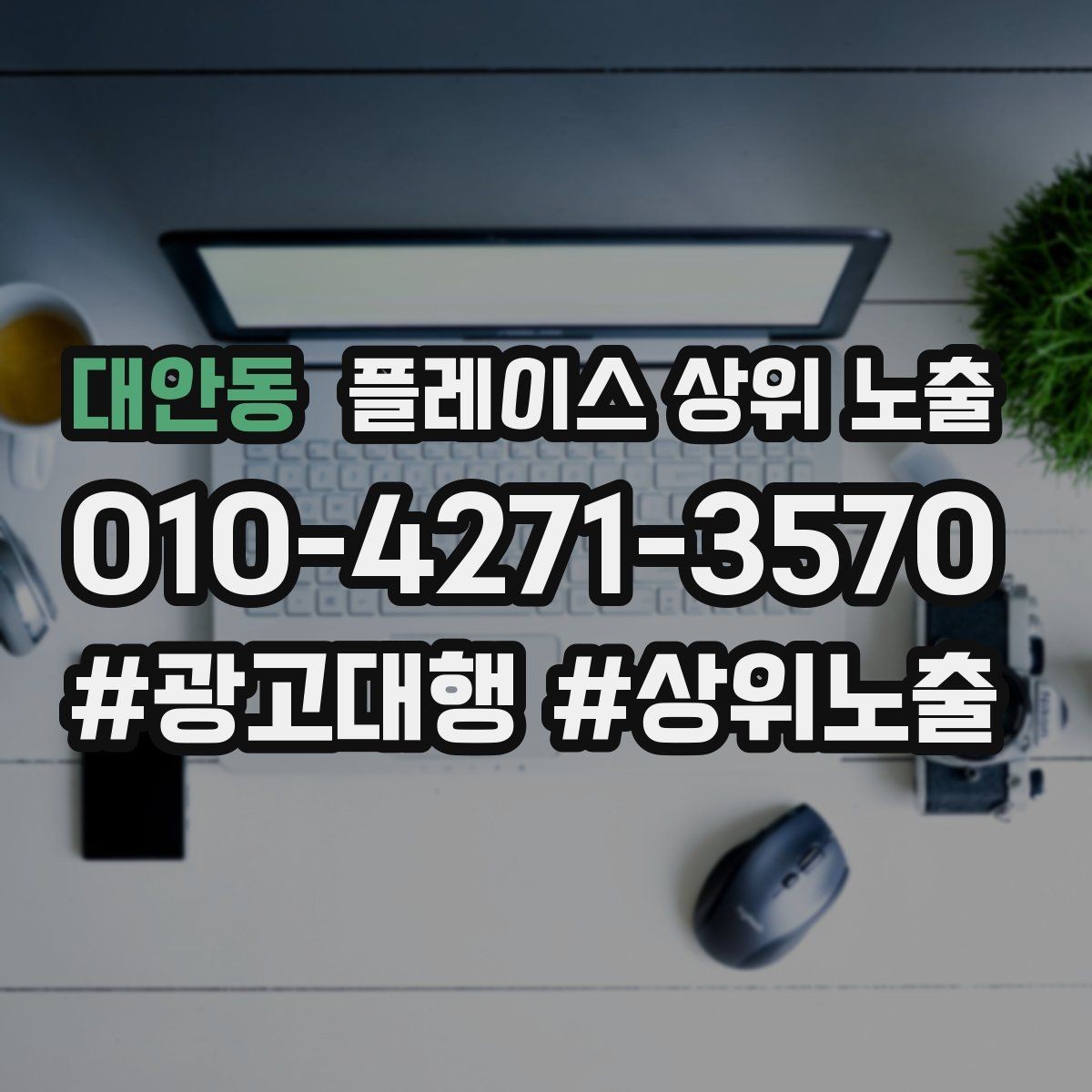 대안동 플레이스 상위 노출 예약 버튼 배치로 전환을 올리는 방법