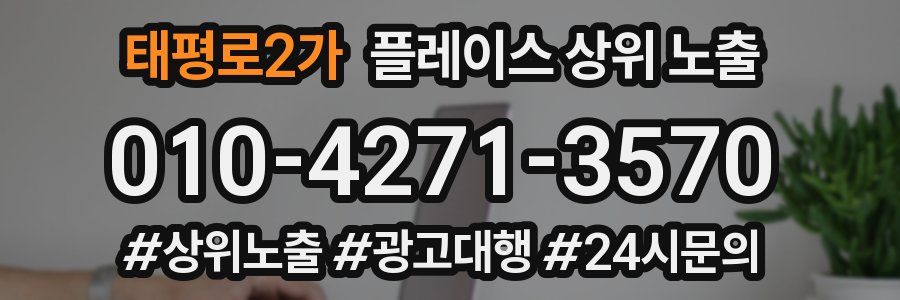 태평로2가 플레이스 상위 노출