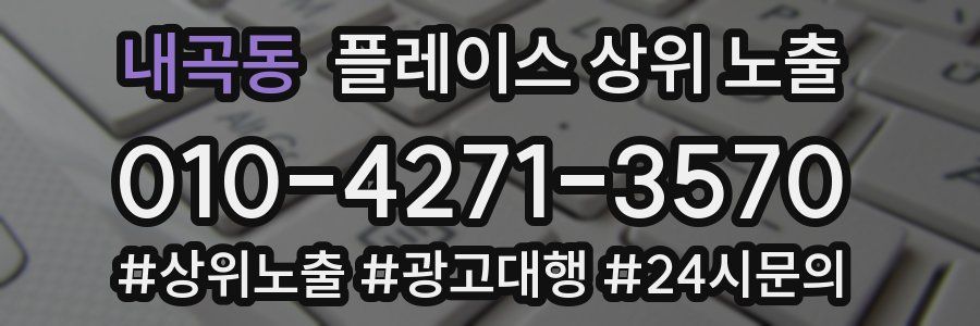내곡동 플레이스 상위 노출