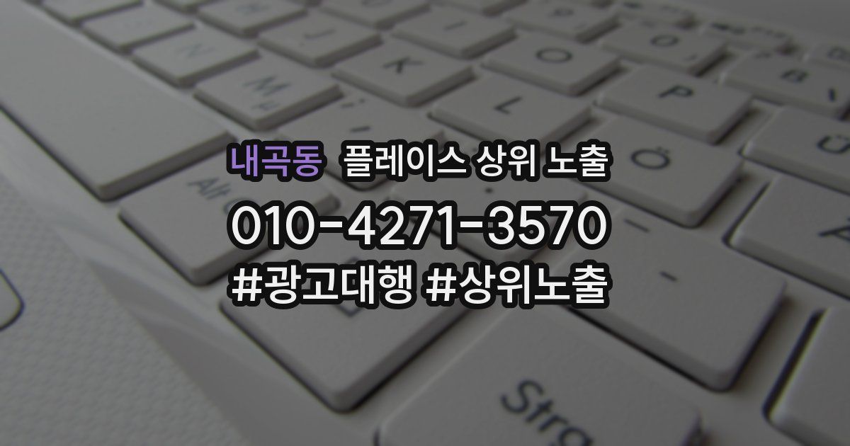 내곡동 플레이스 상위 노출