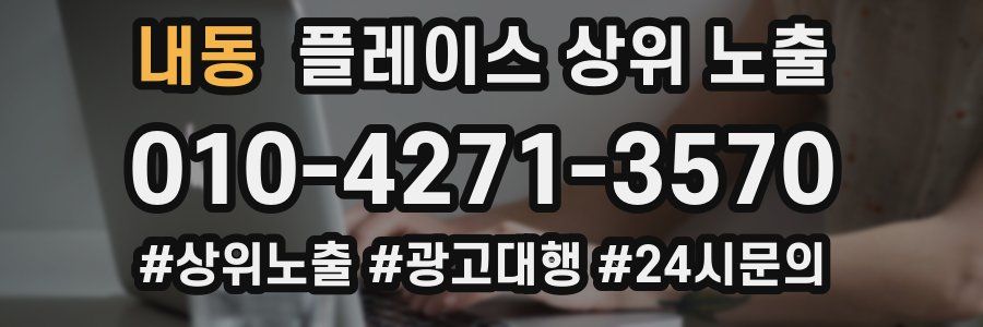 내동 플레이스 상위 노출