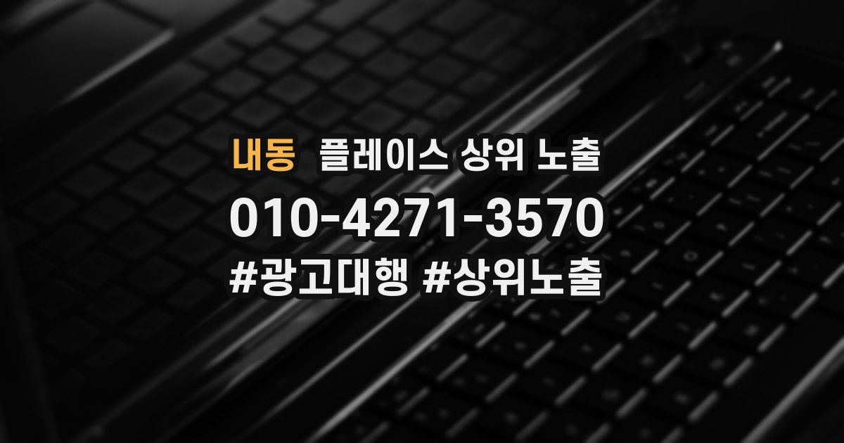 내동 플레이스 상위 노출