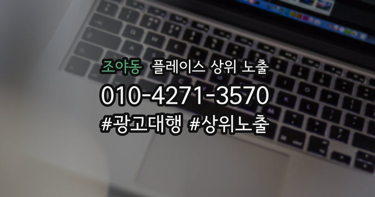 조야동 플레이스 상위 노출