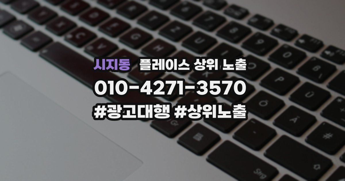 시지동 플레이스 상위 노출