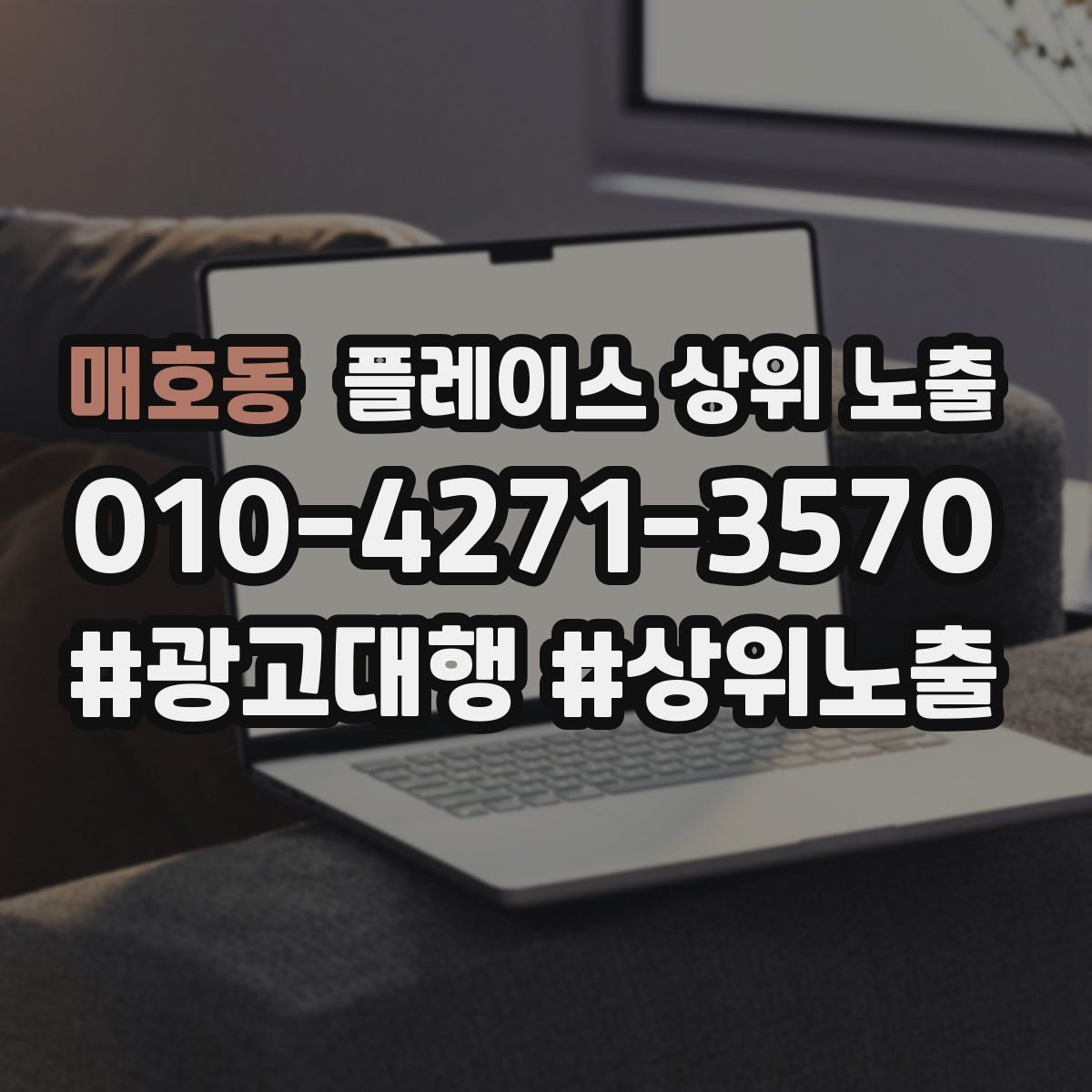 매호동 플레이스 상위 노출