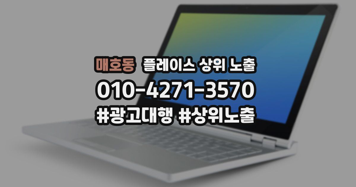 매호동 플레이스 상위 노출