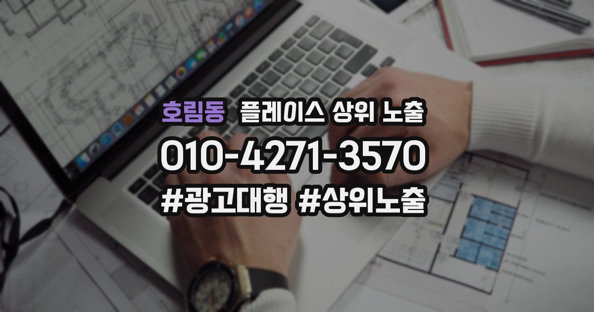 호림동 플레이스 상위 노출