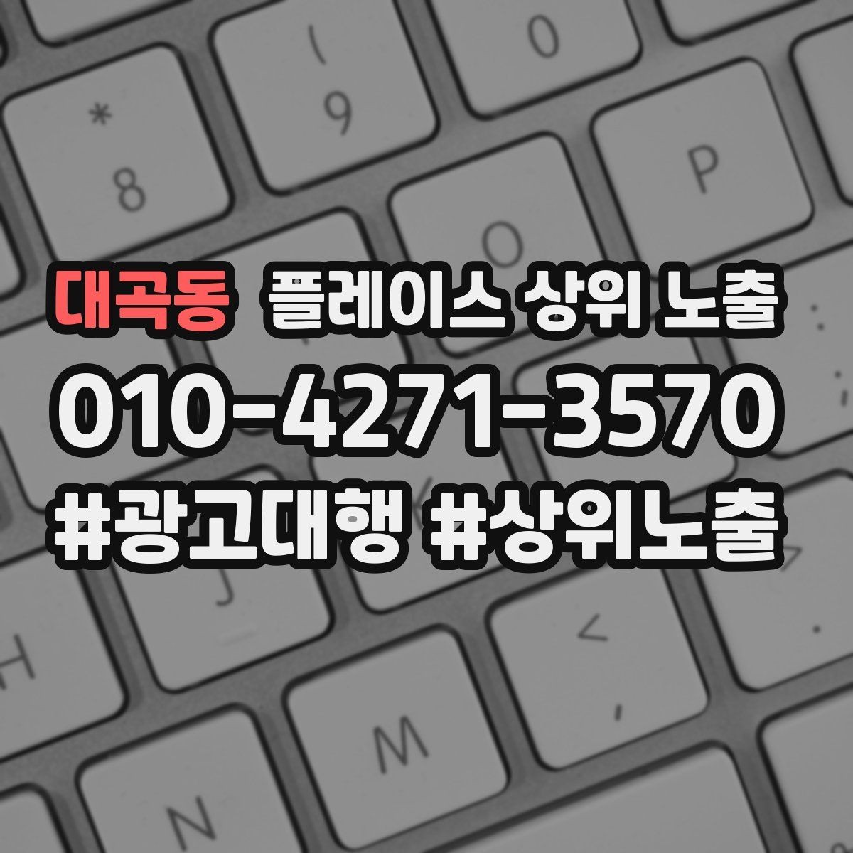 대곡동 플레이스 상위 노출 전화 버튼이 잘 먹히는 업종 특징