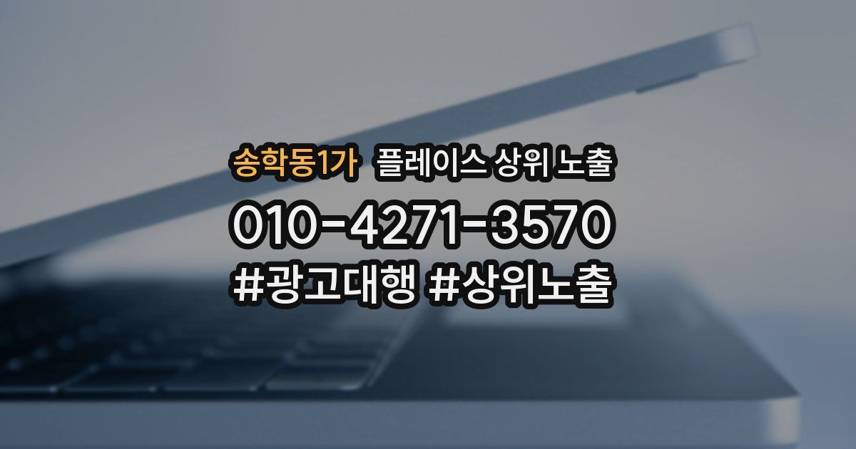 송학동1가 플레이스 상위 노출
