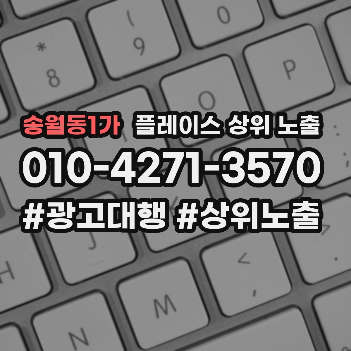 송월동1가 플레이스 상위 노출 소개글 첫 문장부터 바꾸는 방법