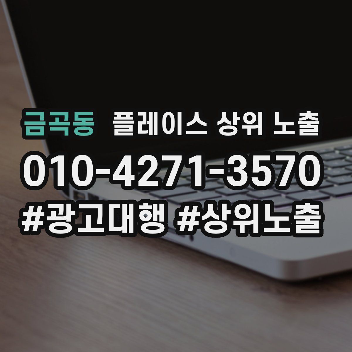 금곡동 플레이스 상위 노출