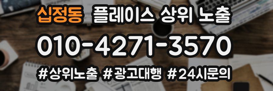 십정동 플레이스 상위 노출