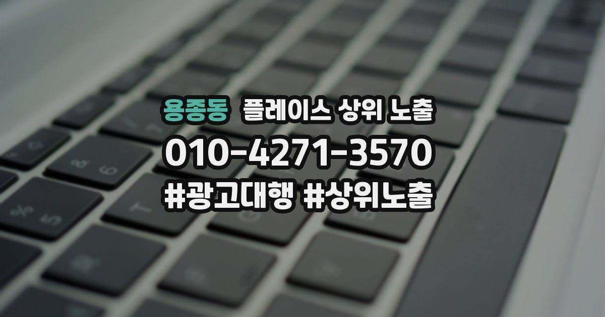 용종동 플레이스 상위 노출