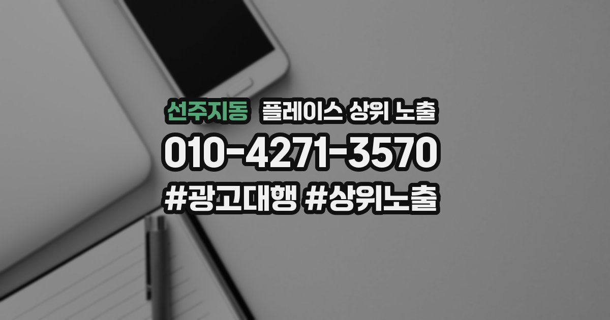선주지동 플레이스 상위 노출