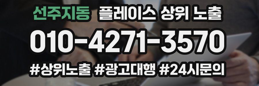 선주지동 플레이스 상위 노출
