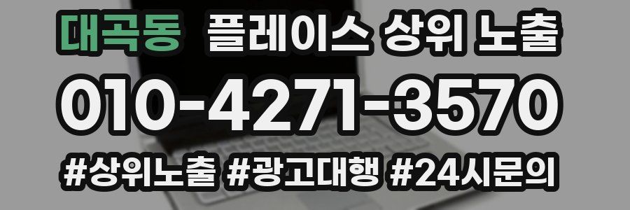 대곡동 플레이스 상위 노출