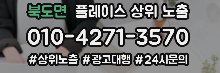 북도면 플레이스 상위 노출