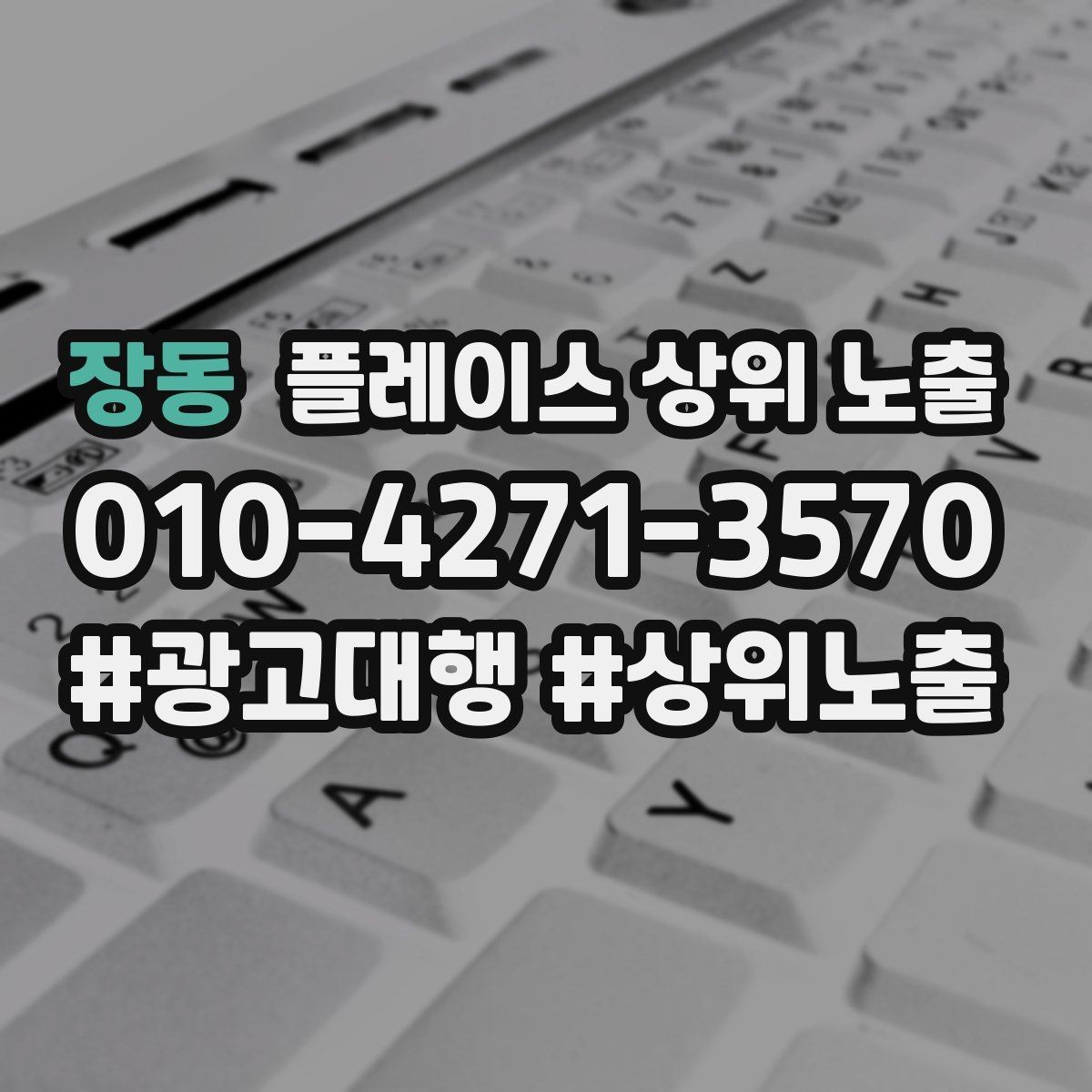 장동 플레이스 상위 노출 오프라인 손님을 리뷰로 연결하는 동선 설계