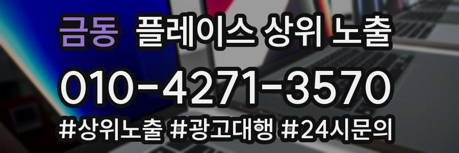 금동 플레이스 상위 노출