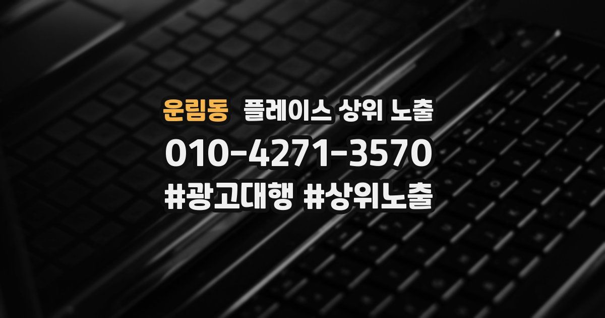 운림동 플레이스 상위 노출