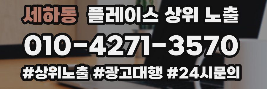 세하동 플레이스 상위 노출