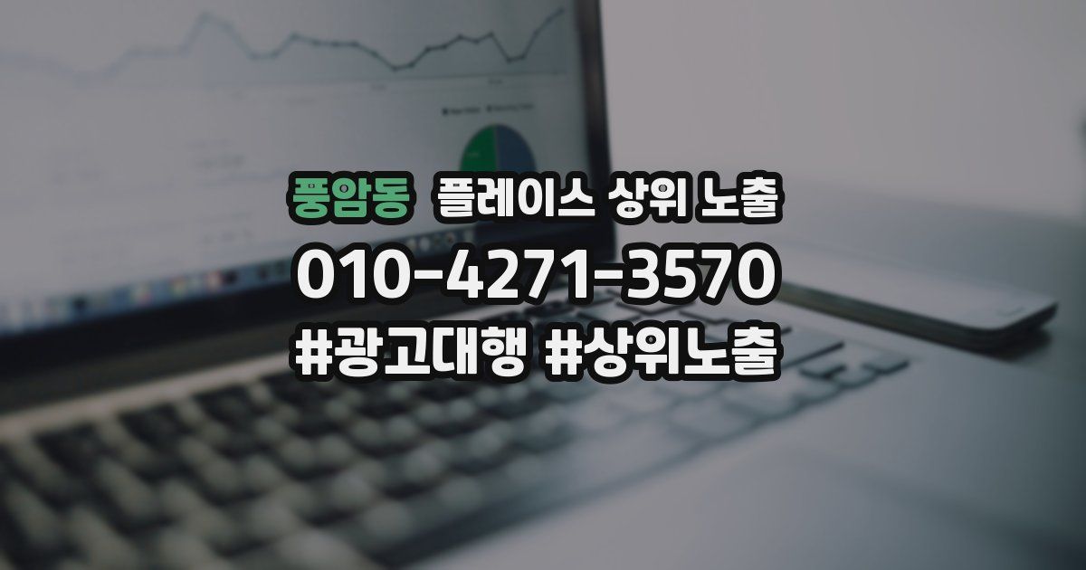 풍암동 플레이스 상위 노출