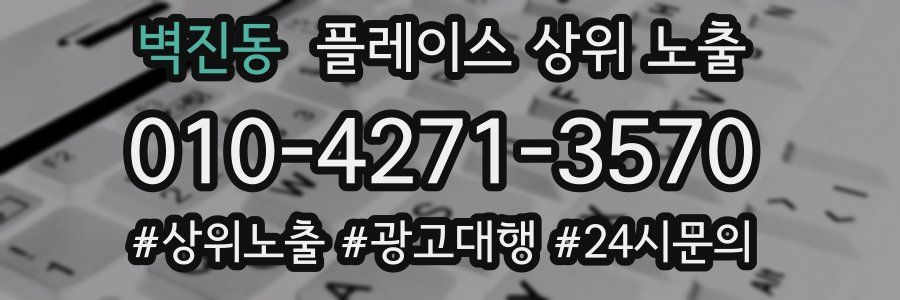 벽진동 플레이스 상위 노출