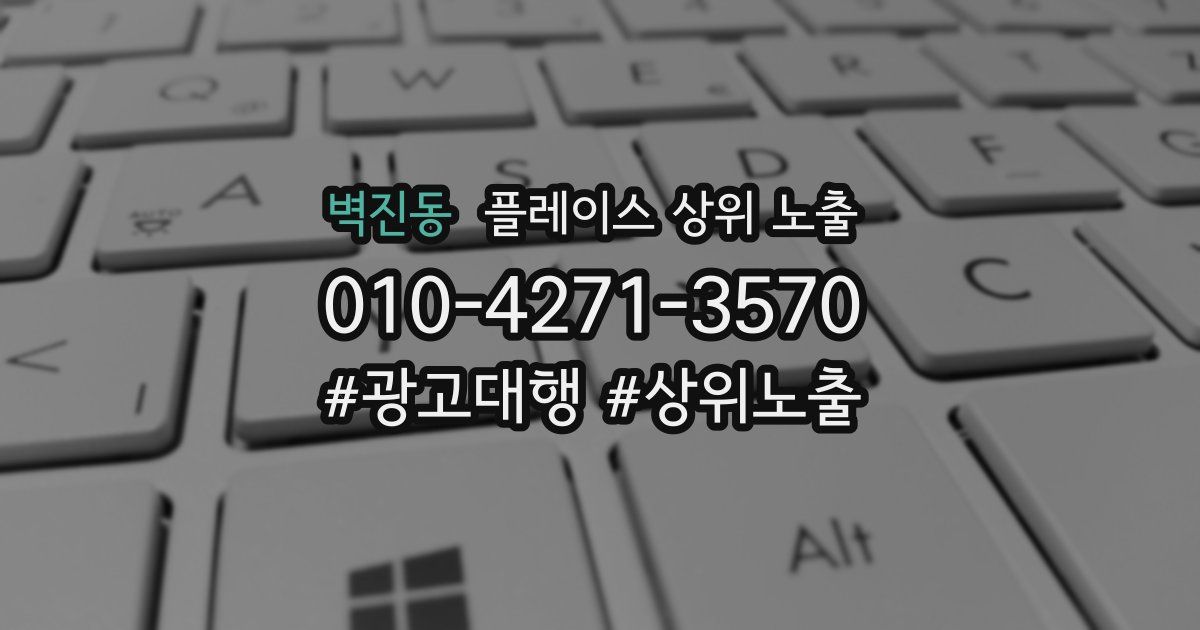 벽진동 플레이스 상위 노출