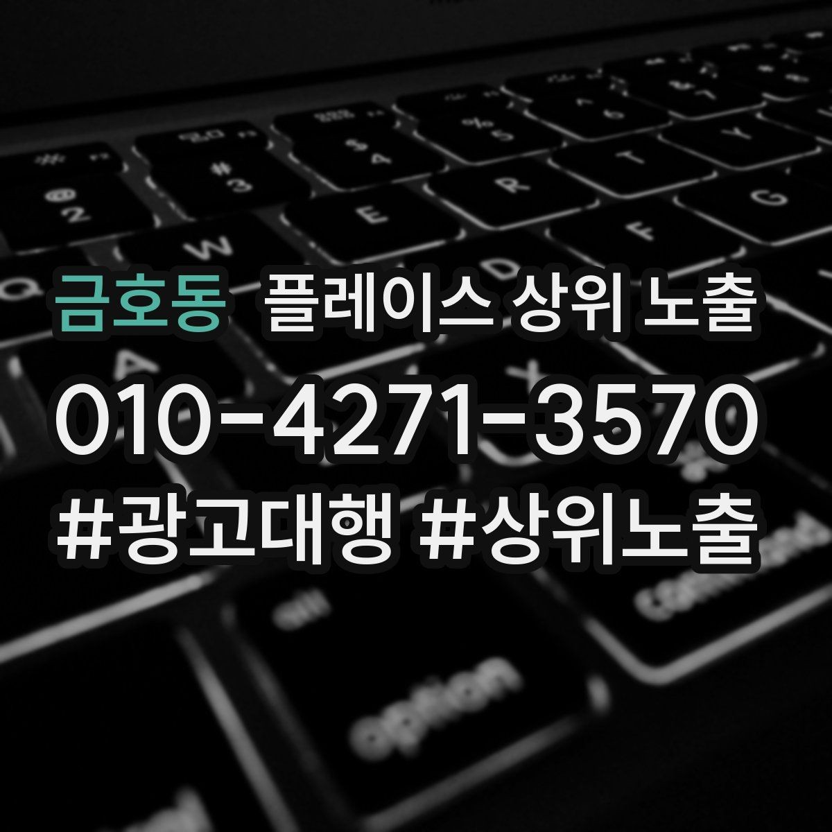 금호동 플레이스 상위 노출 노출이 흔들릴 때 원인부터 정리