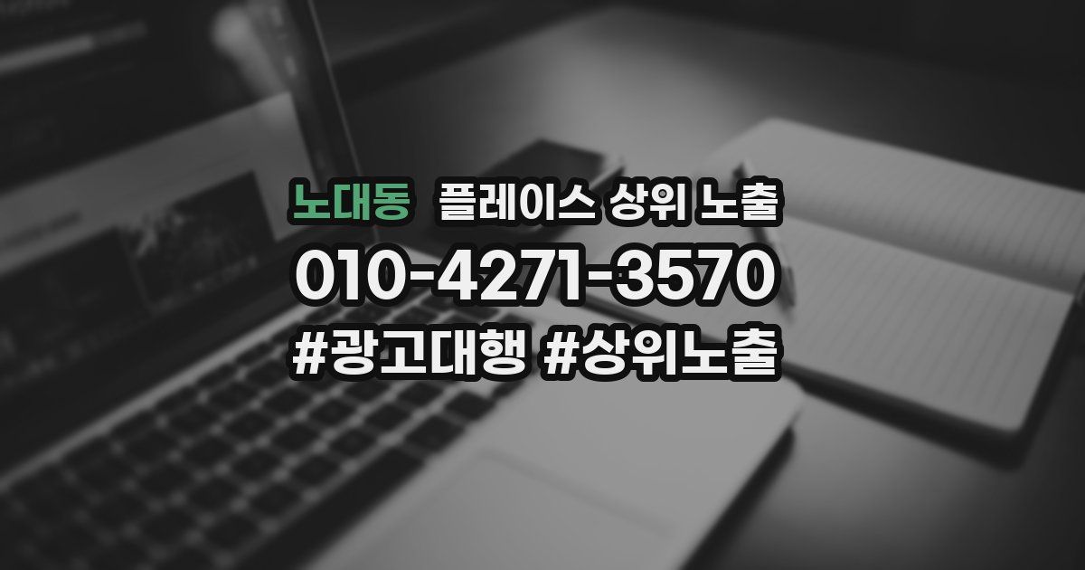노대동 플레이스 상위 노출