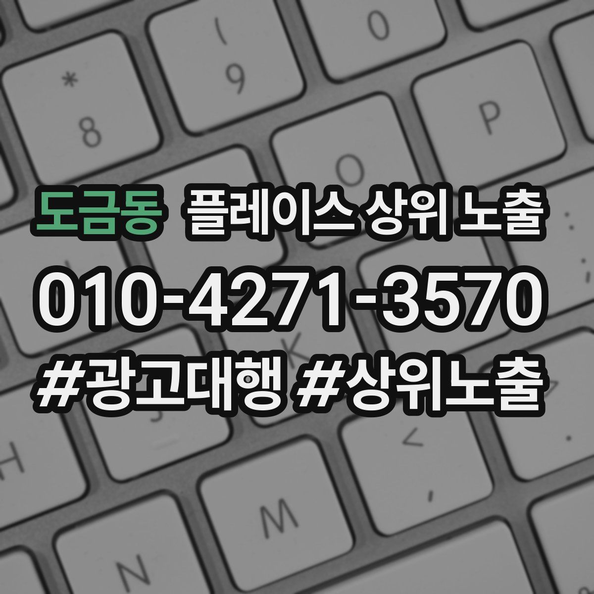 도금동 플레이스 상위 노출