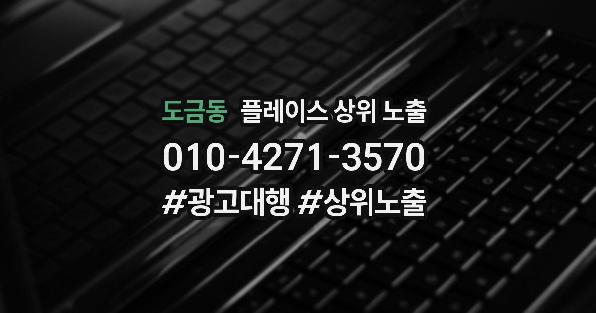 도금동 플레이스 상위 노출