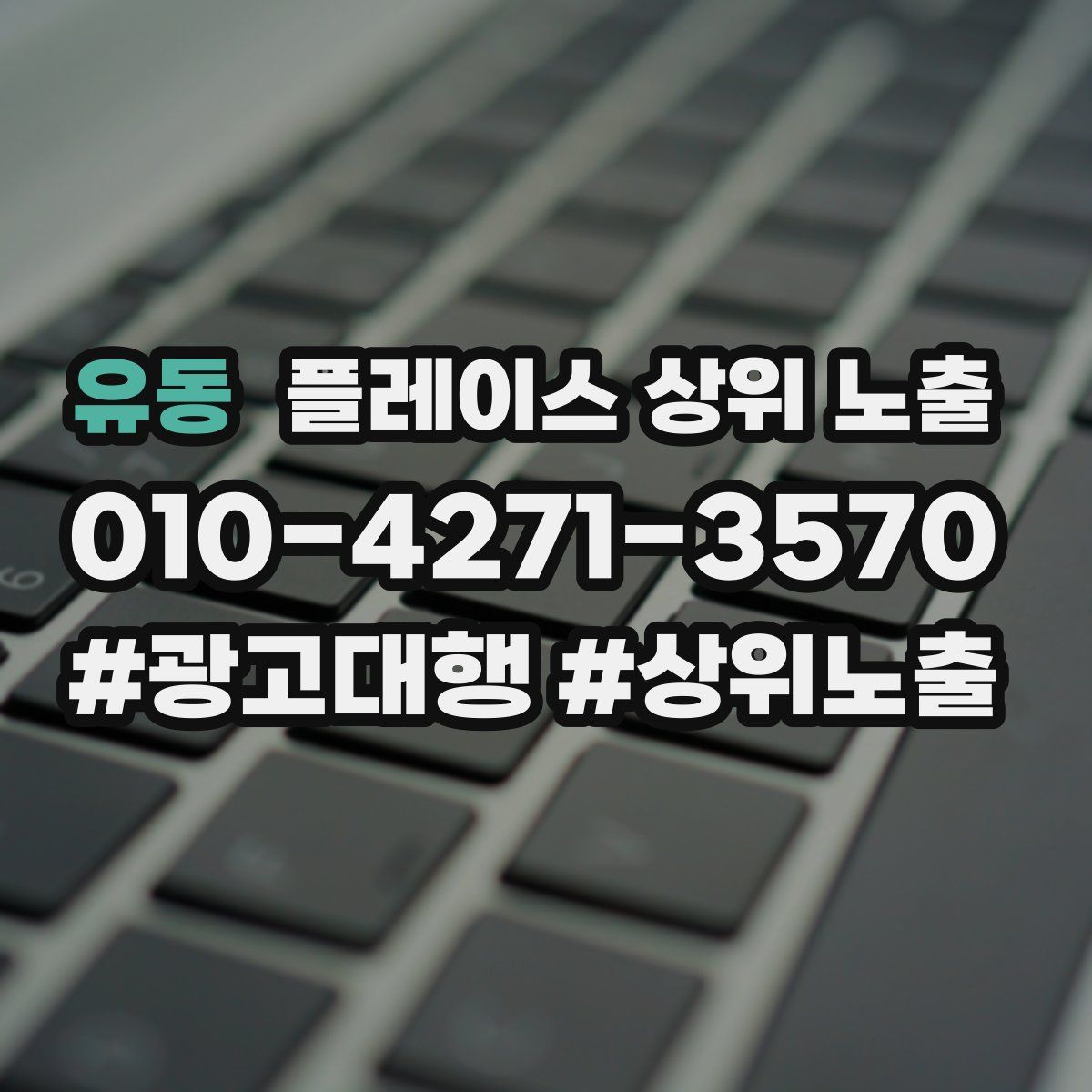유동 플레이스 상위 노출
