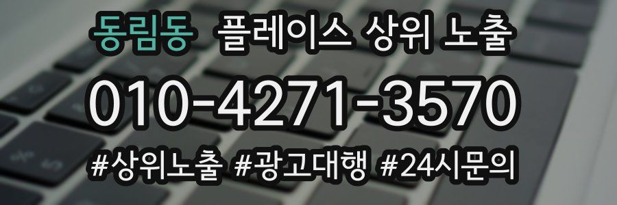 동림동 플레이스 상위 노출