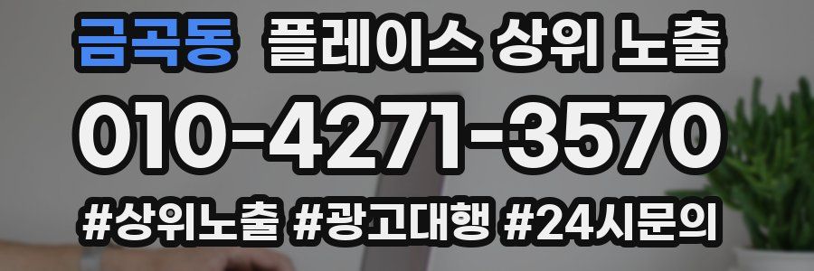 금곡동 플레이스 상위 노출